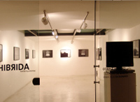 gallery 1